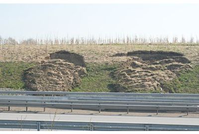 Erosion: Ursachen, Auswirkungen und Maßnahmen zur Schadensbegrenzung