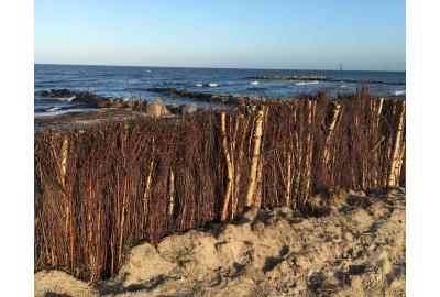 Erosionsschutz mit Weiden- und Totholzfaschinen