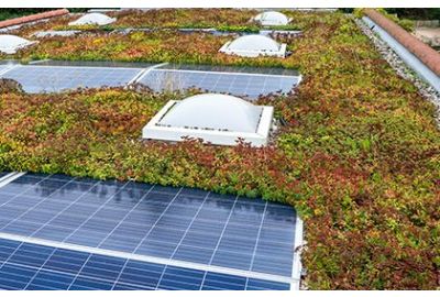 Solargründach - Optimale Kombination aus Solaranlage und Dachbegrünung
