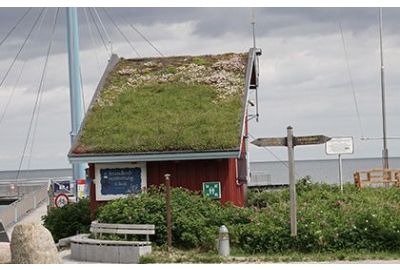 Grasdachbegrünungen eigenen sich für Schrägdächer auf Ferienhäusern.
