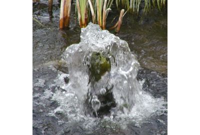 Füllwasser und Wasserqualität im Gartenteich