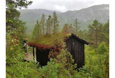 Dachbegrünung in Norwegen