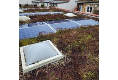 Solargründach - Optimale Kombination aus Solaranlage und Dachbegrünung