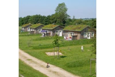 Grasdachbegrünungen eigenen sich für Schrägdächer auf Ferienhäusern.