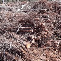Die Totholzfaschine wird oft als leichte Böschungsfußsicherung sowie bei Böschungen und Hängen mit verbaut, bei denen die Gefahr von Erosion besteht