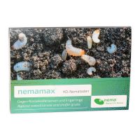 Nemamax® Nematoden Heterorhabditis downesi gegen Dickmaulrüssler