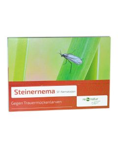 Steinernema - SF-Nematoden gegen Trauermücken