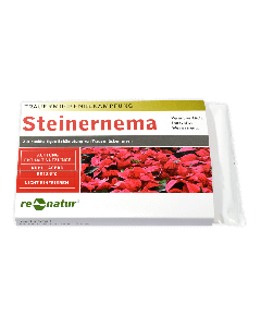 Steinernema (Nematoden gegen Trauermücken)