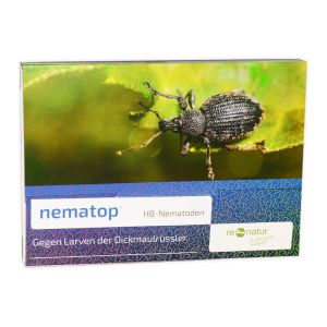 nematop - nematoden gegen dickmaulrüssler
