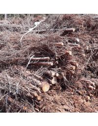 Die Totholzfaschine wird oft als leichte Böschungsfußsicherung sowie bei Böschungen und Hängen mit verbaut, bei denen die Gefahr von Erosion besteht
