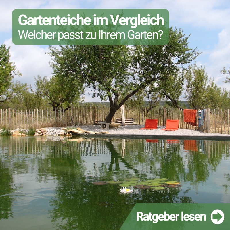 Gartenteich im Vergleich Welcher passt zu Ihrem Garten