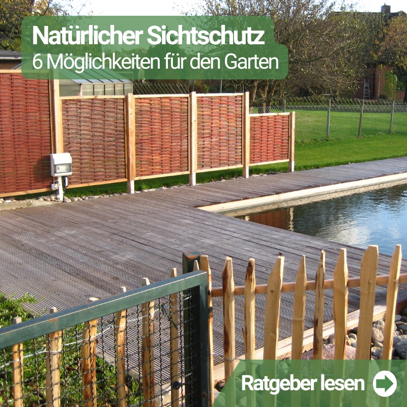 Natuerlicher Sichtschutz - 6 Moeglichkeiten fuer den Garten