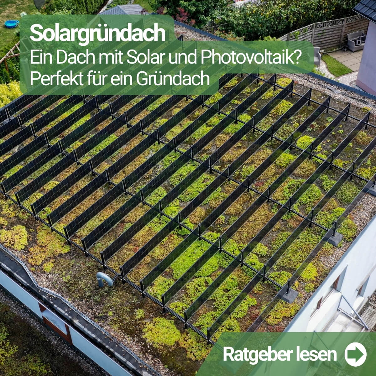 Ratgeber-Solargruendach-Ein-Dach-mit-Solar-und-Photovoltaik