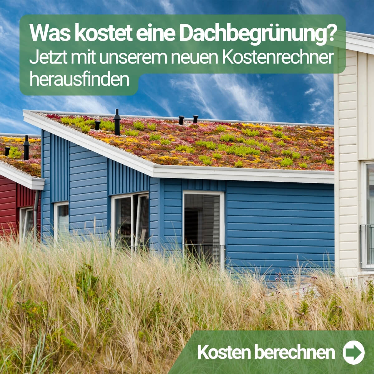 Was kostet eine Dachbegrünung - Kosten ausrechnen