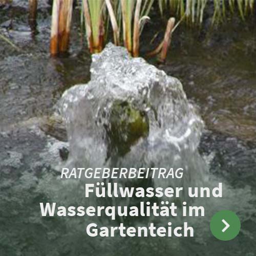 Fuellwasser_und_Wasserqualitaet